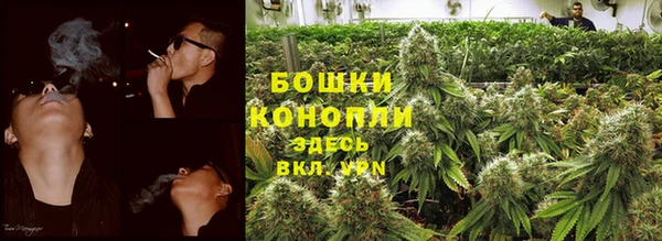 PSILOCYBIN Богородск